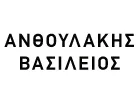 ANTHOULAKIS VASSILIOS