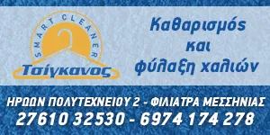 SMART CLEANER - ΤΣΙΓΚΑΝΟΣ ΣΤΑΜΑΤΗΣ