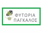ΠΑΓΚΑΛΟΣ ΓΕΩΡΓΙΟΣ - ΠΑΓΚΑΛΟΣ