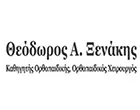 ΞΕΝΑΚΗΣ ΘΕΟΔΩΡΟΣ