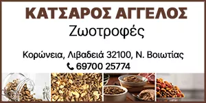 ΚΑΤΣΑΡΟΣ Θ. ΑΓΓΕΛΟΣ