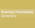 ΤΣΟΥΚΑΛΑΣ ΚΩΝΣΤΑΝΤΙΝΟΣ