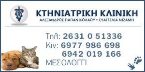 ΠΑΠΑΝΙΚΟΛΑΟΥ ΑΛΕΞΑΝΔΡΟΣ