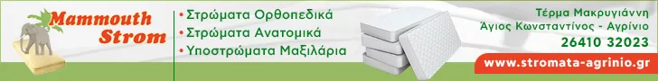 MAMMOUTH STROM - ΚΑΜΜΕΝΟΣ ΝΕΚΤΑΡΙΟΣ