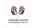 POZOUKIDOU KALLIOPI MD MSc