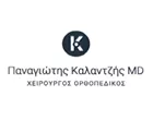 ΚΑΛΑΝΤΖΗΣ ΠΑΝΑΓΙΩΤΗΣ