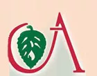 ΑΓΓΕΛΑΚΗ ΑΙΣΘΗΤΙΚΗ