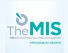 THE.M.I.S. - PAPASOULIS EFTHYMIOS - SIDERIDIS ARISTOTELIS - TERZIDIS IOANNIS - TOTLIS TRYFON
