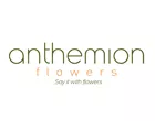 ANTHEMIONFLOWERS