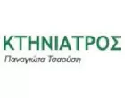 TSAOUSI PANAGIOTA